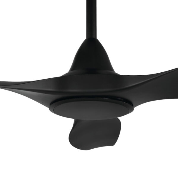 Noosa DC Ceiling Fan With Remote - Black 60"