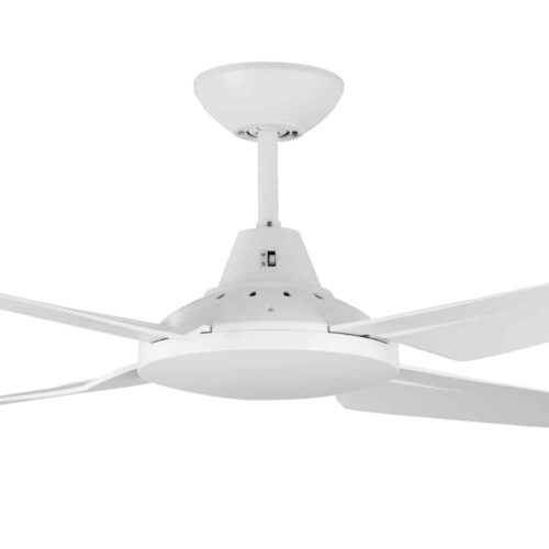 Mercator Clare White