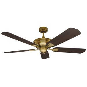 Healey 52" Antique Brass Ceiling Fan with Reversible Blades