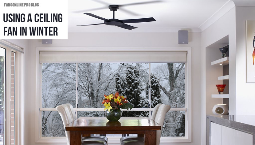 Should I Use My Ceiling Fans in the Winter?