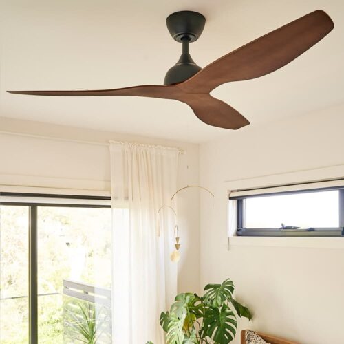 Indoor Ceiling Fans