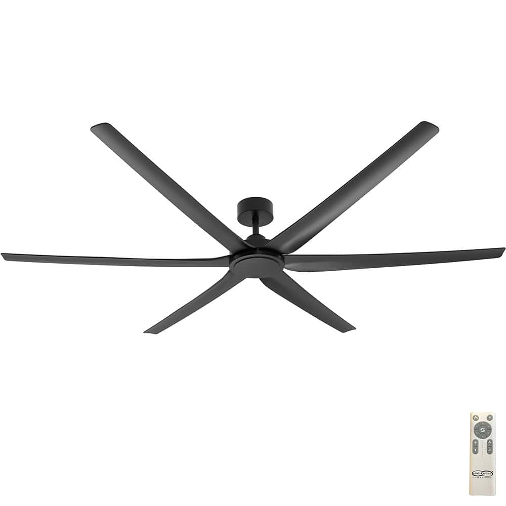 Hunter Pacific Magnum DC Ceiling Fan - Black 80"