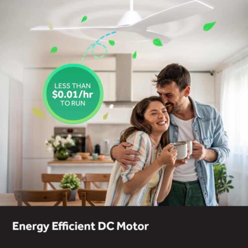 claro-dreamer-energy-efficient-dc-motor