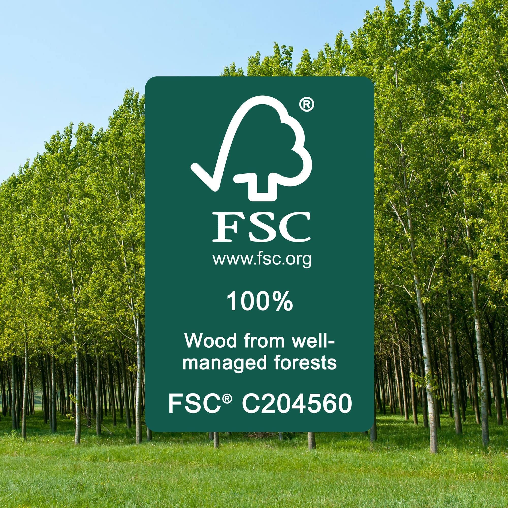 fsc-badge-min