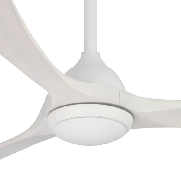 Claro Sleeper DC Ceiling Fan with CCT LED Light - White with Solid Timber Whitewash Blades 48"