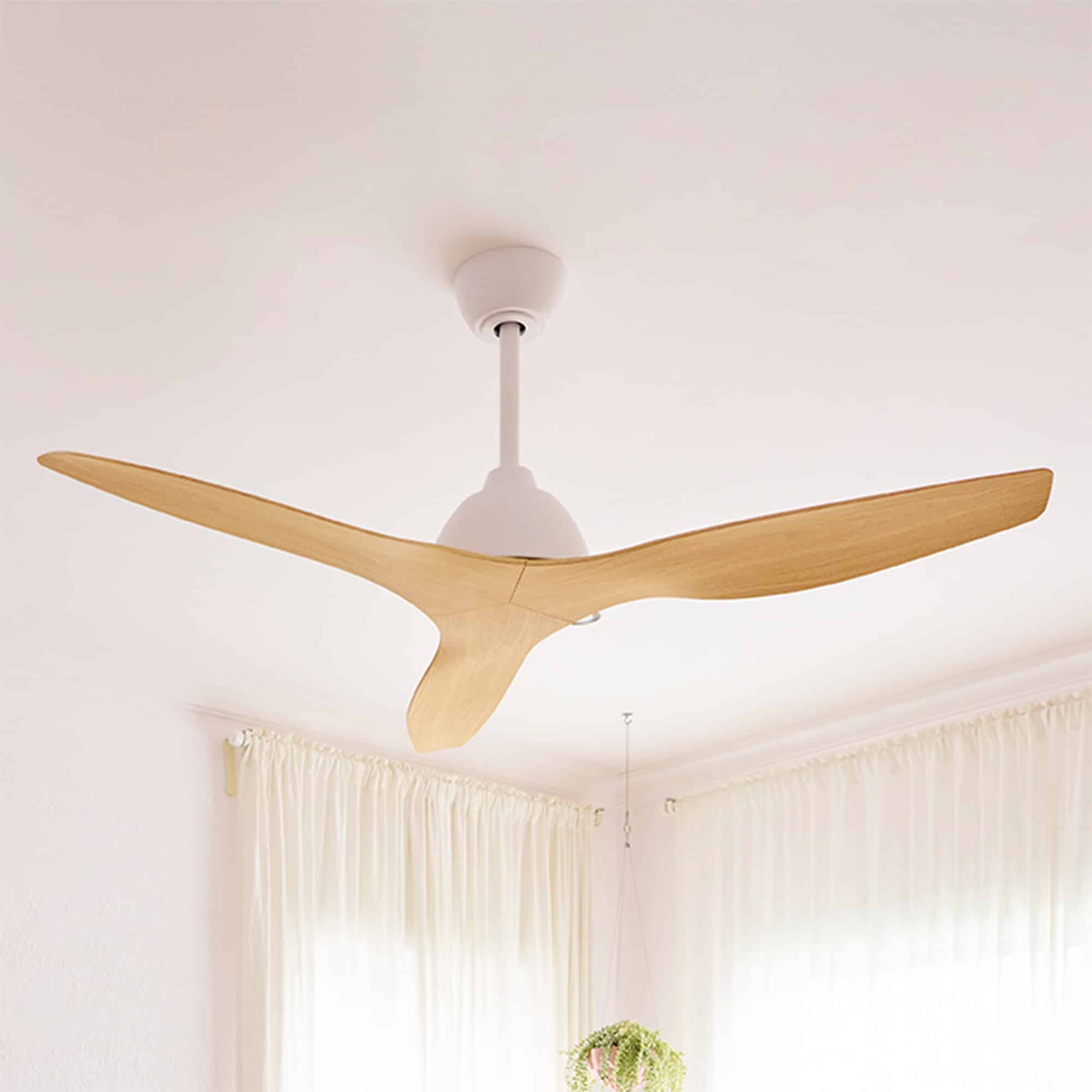 Breeze AC Ceiling Fan with sculpted three-blade design