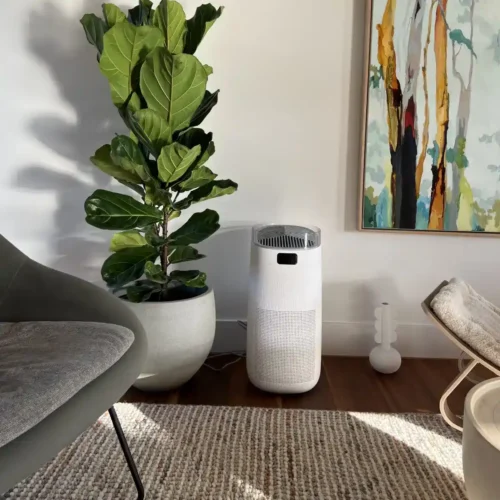 fanco-bright-smart-air-purifier-in-living-room-insitu-beside-plant
